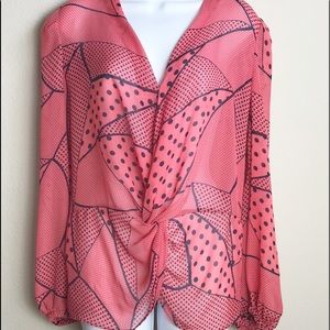 Bisou Bisou Sheer Long Sleeve VNeck Blouse